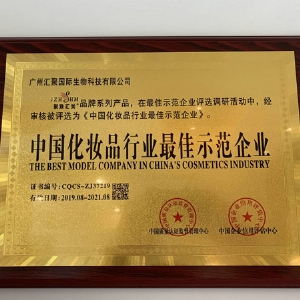 企业实力